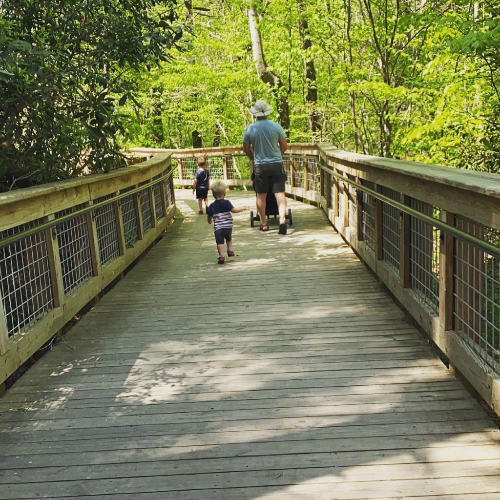 dad and toddlers on boardwalk in the woods